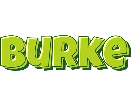 Burke summer logo