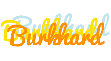 Burkhard energy logo