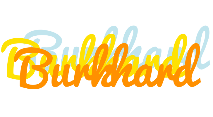 Burkhard energy logo