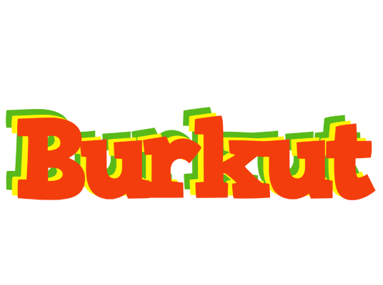 Burkut bbq logo
