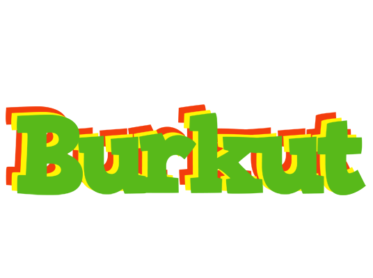 Burkut crocodile logo