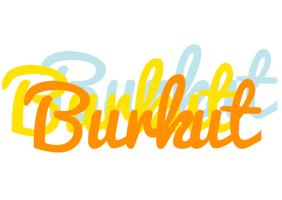 Burkut energy logo