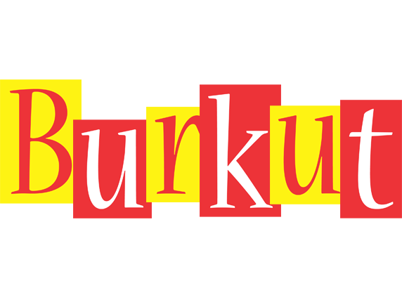 Burkut errors logo