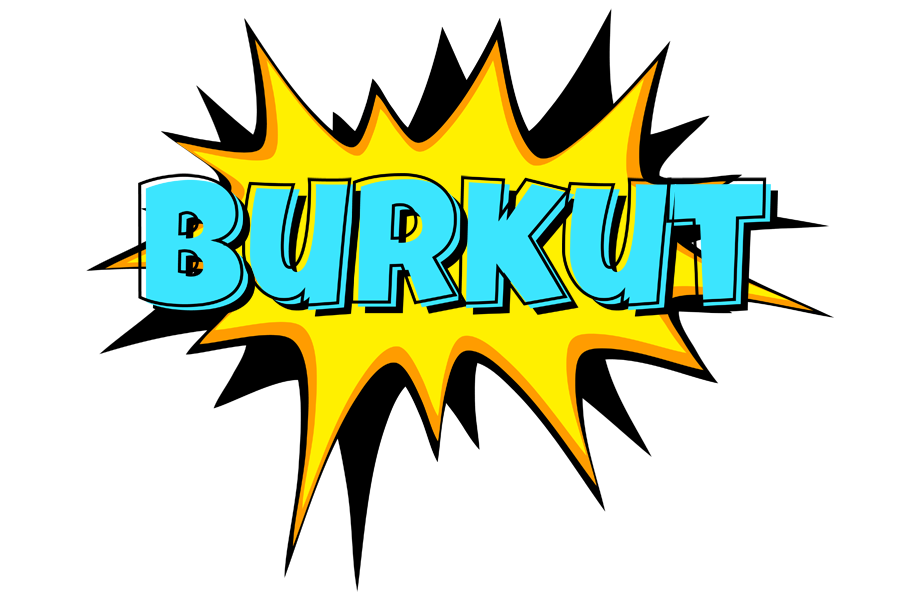 Burkut indycar logo