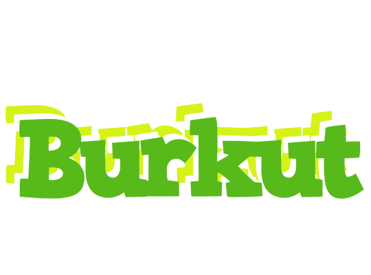 Burkut picnic logo