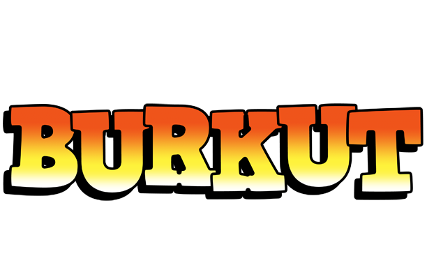 Burkut sunset logo