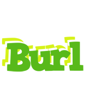 Burl picnic logo