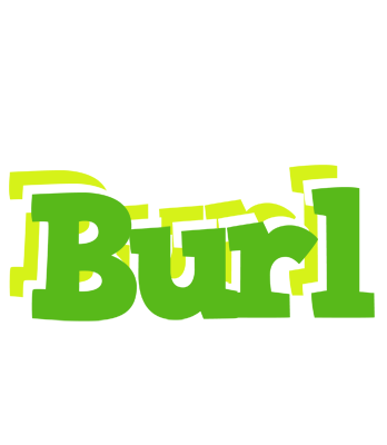 Burl picnic logo