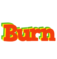 Burn bbq logo