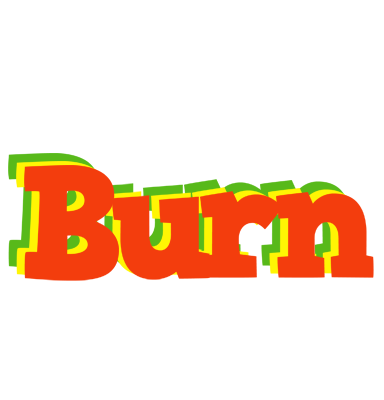 Burn bbq logo