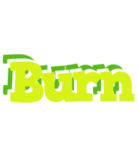 Burn citrus logo