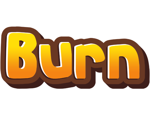 Burn cookies logo