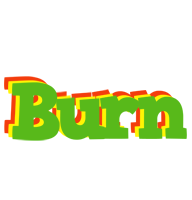 Burn crocodile logo