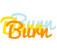 Burn energy logo