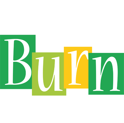 Burn lemonade logo
