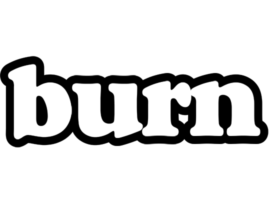 Burn panda logo