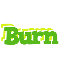 Burn picnic logo