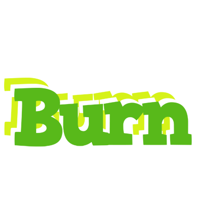 Burn picnic logo