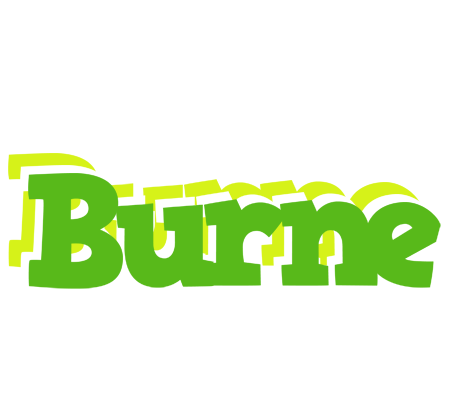 Burne picnic logo