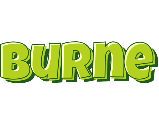 Burne summer logo