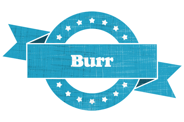 Burr balance logo