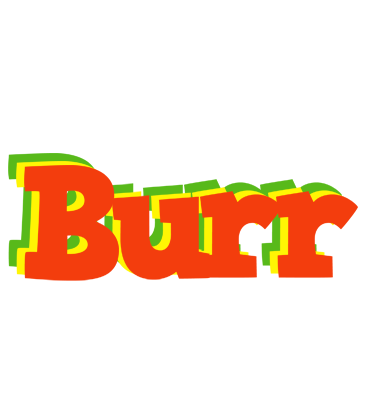 Burr bbq logo