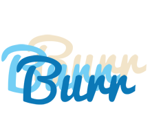 Burr breeze logo