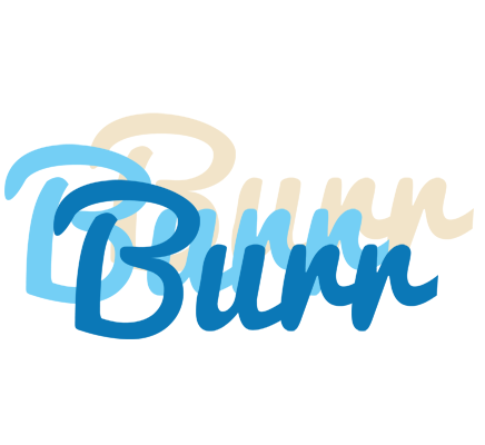 Burr breeze logo