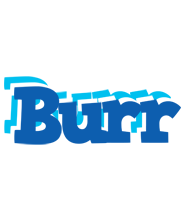 Burr business logo