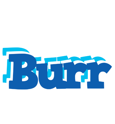 Burr business logo