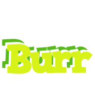 Burr citrus logo