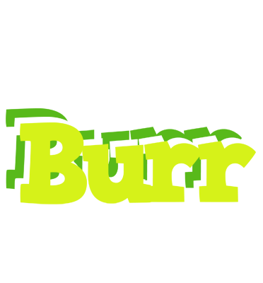Burr citrus logo