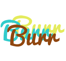 Burr cupcake logo