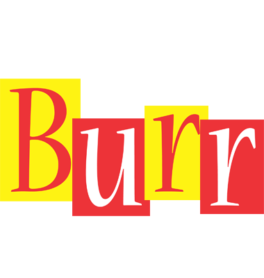 Burr errors logo