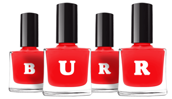 Burr fashion logo