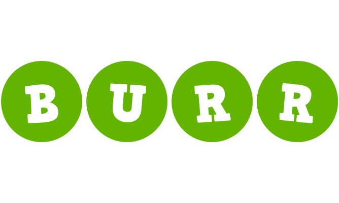 Burr games logo