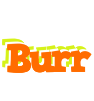 Burr healthy logo