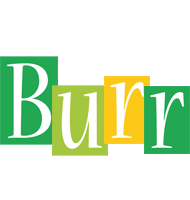 Burr lemonade logo