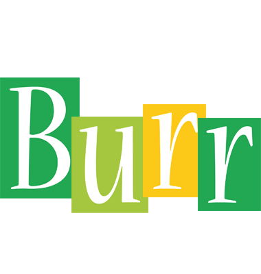 Burr lemonade logo