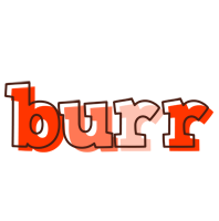 Burr paint logo