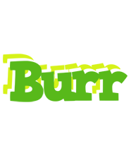 Burr picnic logo