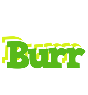 Burr picnic logo