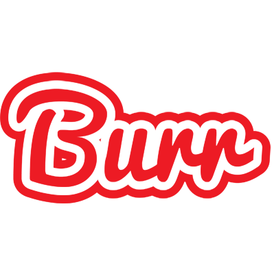 Burr sunshine logo