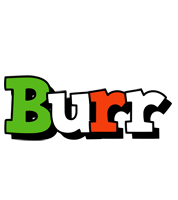 Burr venezia logo