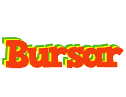 Bursar bbq logo