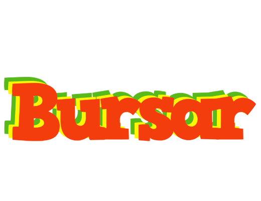 Bursar bbq logo
