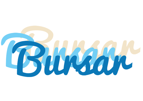 Bursar breeze logo