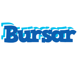 Bursar business logo