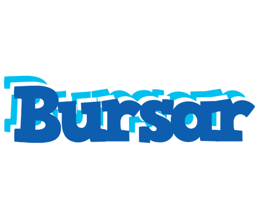 Bursar business logo
