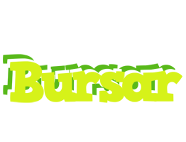 Bursar citrus logo